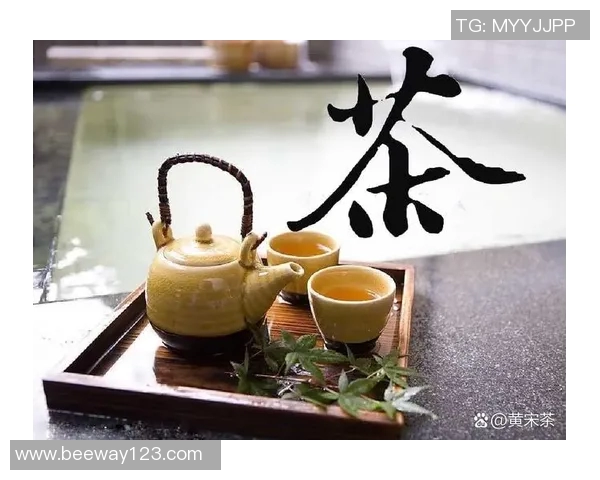 茶叶文化的传承与创新：从历史渊源到现代饮品的多元发展探析